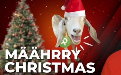 Kleine Gesten. Große Wirkung. Die AIM-HIGHER Weihnachtsgrüße 2025